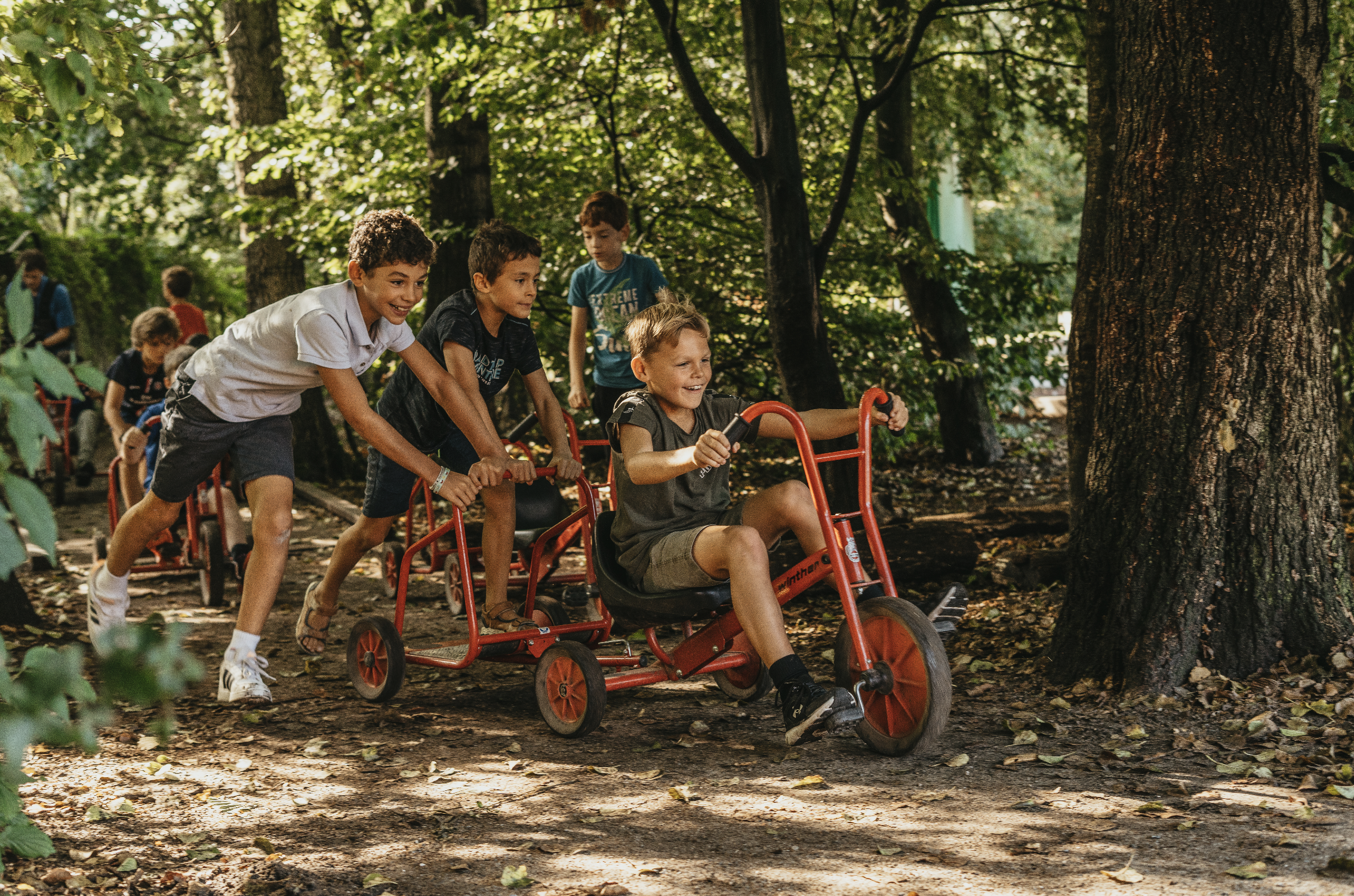 International School of Amsterdam