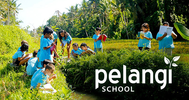 Pelangi School